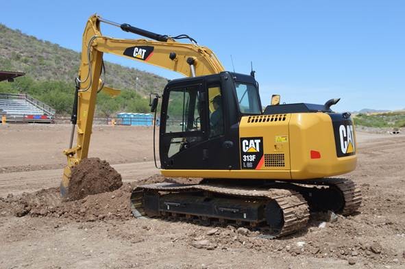 CAT313